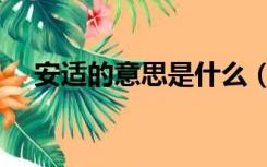 安适的意思是什么（空灵的意思是什么）