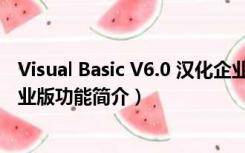 Visual Basic V6.0 汉化企业版（Visual Basic V6.0 汉化企业版功能简介）