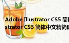 Adobe Illustrator CS5 简体中文精简破解版（Adobe Illustrator CS5 简体中文精简破解版功能简介）