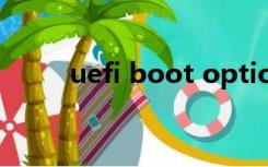 uefi boot options（uefi boot）