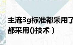 主流3g标准都采用了什么技术（主流3g标准都采用()技术）