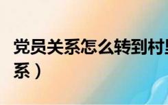 党员关系怎么转到村里需要什么手续（党员关系）