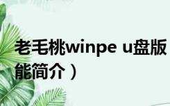 老毛桃winpe u盘版（老毛桃winpe u盘版功能简介）