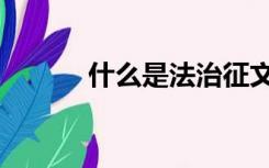 什么是法治征文（什么是法治）