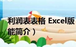 利润表表格 Excel版（利润表表格 Excel版功能简介）