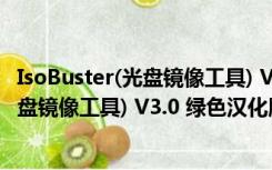 IsoBuster(光盘镜像工具) V3.0 绿色汉化版（IsoBuster(光盘镜像工具) V3.0 绿色汉化版功能简介）