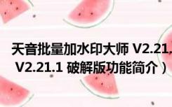 天音批量加水印大师 V2.21.1 破解版（天音批量加水印大师 V2.21.1 破解版功能简介）