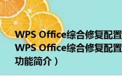 WPS Office综合修复配置工具 V11.1.0.9513 绿色免费版（WPS Office综合修复配置工具 V11.1.0.9513 绿色免费版功能简介）