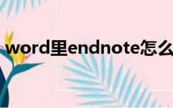 word里endnote怎么用（endnote怎么用）