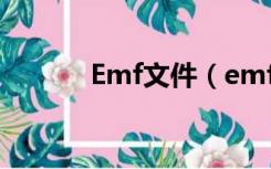 Emf文件（emf文件怎么打开）