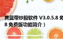 黄蓝带炒股软件 V3.0.5.8 免费版（黄蓝带炒股软件 V3.0.5.8 免费版功能简介）