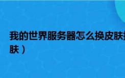 我的世界服务器怎么换皮肤指令（我的世界服务器怎么换皮肤）