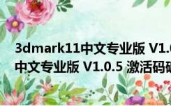 3dmark11中文专业版 V1.0.5 激活码破解版（3dmark11中文专业版 V1.0.5 激活码破解版功能简介）