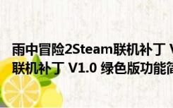 雨中冒险2Steam联机补丁 V1.0 绿色版（雨中冒险2Steam联机补丁 V1.0 绿色版功能简介）