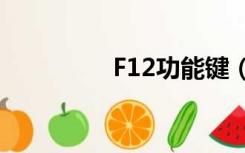 F12功能键（f12键用不）