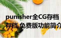 punisher全CG存档 免费版（punisher全CG存档 免费版功能简介）