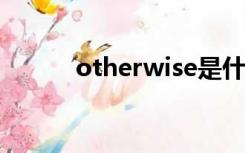 otherwise是什么意思英语翻译