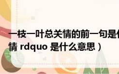 一枝一叶总关情的前一句是什么意思（ldquo 一叶一枝总关情 rdquo 是什么意思）