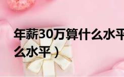 年薪30万算什么水平在中国（年薪30万算什么水平）