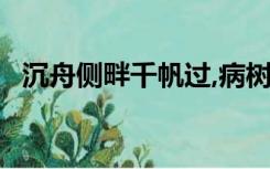 沉舟侧畔千帆过,病树前头万木春,什么意思