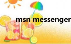 msn messenger是什么类型的软件