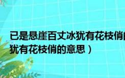 已是悬崖百丈冰犹有花枝俏的意思的花枝（已是悬崖百丈冰犹有花枝俏的意思）