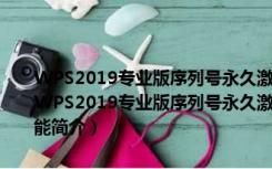 WPS2019专业版序列号永久激活版 V11.8.2.11716 集成序列号版（WPS2019专业版序列号永久激活版 V11.8.2.11716 集成序列号版功能简介）