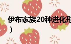 伊布家族20种进化形态（伊布家族20种进化）