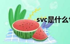 svc是什么句型（svc）