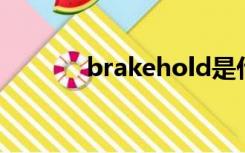 brakehold是什么意思车上的