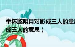 举杯邀明月对影成三人的意思是什么意思（举杯邀明月对影成三人的意思）