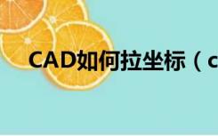 CAD如何拉坐标（cad图纸怎么拉坐标）