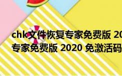 chk文件恢复专家免费版 2020 免激活码版（chk文件恢复专家免费版 2020 免激活码版功能简介）