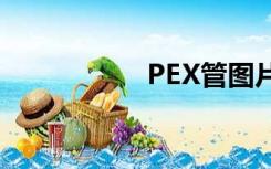 PEX管图片（pex管）