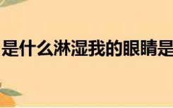 是什么淋湿我的眼睛是什么歌歌词是什么意思