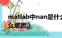 matlab中nan是什么意思（matlab nan什么意思）