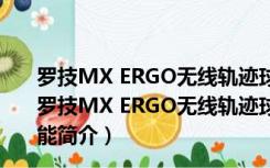 罗技MX ERGO无线轨迹球鼠标驱动 V6.70.1197 官方版（罗技MX ERGO无线轨迹球鼠标驱动 V6.70.1197 官方版功能简介）