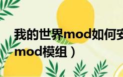 我的世界mod如何安装（我的世界怎么安装mod模组）