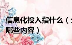 信息化投入指什么（企业信息化资金投入包含哪些内容）