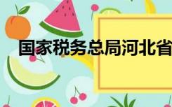 国家税务总局河北省电子税务局网上申报