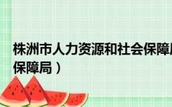 株洲市人力资源和社会保障局官网（株洲市人力资源和社会保障局）