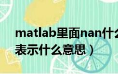 matlab里面nan什么意思（matlab中NaN表示什么意思）