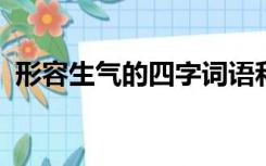 形容生气的四字词语和两个字的词语有哪些