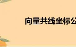 向量共线坐标公式（向量共线）