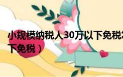 小规模纳税人30万以下免税怎么做账（小规模纳税人30万以下免税）