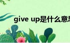 give up是什么意思（gi是什么意思）