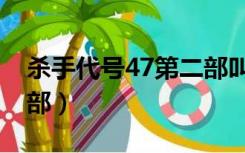 杀手代号47第二部叫什么（杀手代号47第二部）