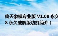 倚天象棋专业版 V1.08 永久破解版（倚天象棋专业版 V1.08 永久破解版功能简介）