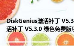 DiskGenius激活补丁 V5.3.0 绿色免费版（DiskGenius激活补丁 V5.3.0 绿色免费版功能简介）