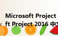 Microsoft Project 2016 中文版（Microsoft Project 2016 中文版功能简介）